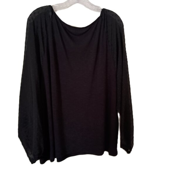 J Crew Plus Size Black Sheer Sleeves Whimsygoth Top Women’s Size 3X - Picture 2 of 16